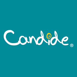 Funko, Bonecas ,Carrinhos , Pelúcias, Animais Interativos, Blocos de Montar , Piões ,  Instrumentos Musicais  com até 60%OFF na Candide