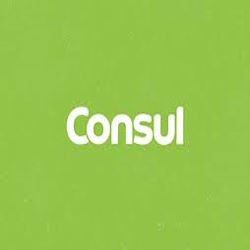 Eletrodomésticos com 30% OFF na Consul