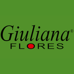 Compre e Ganhe Lindt na Giuliana Flores